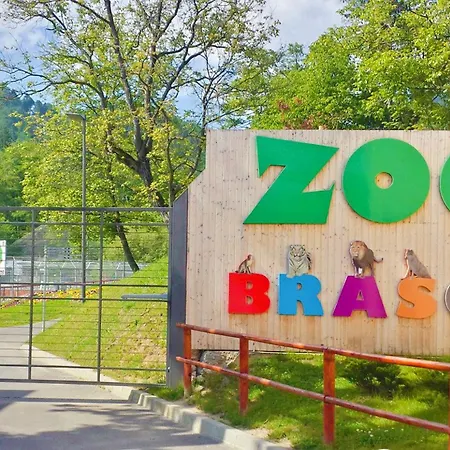 Mountain And View With Underground Parking Brasov