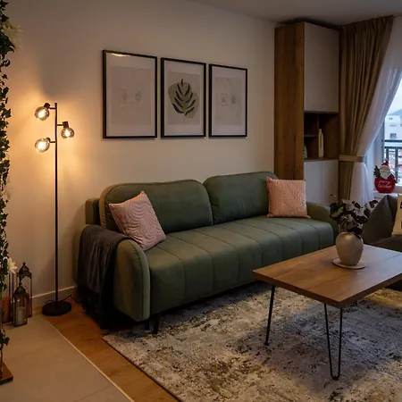 Mountain And View With Underground Parking 布拉索夫