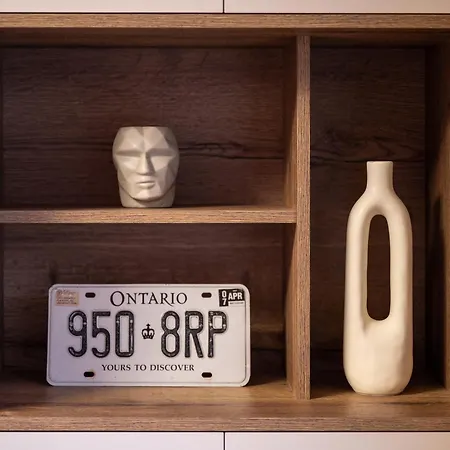 Mountain And View With Underground Parking * 布拉索夫