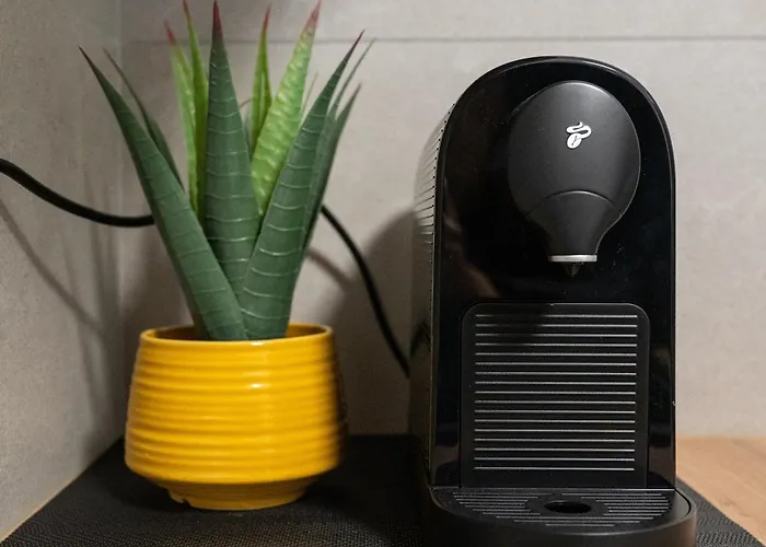 Mountain And View With Underground Parking Brașov