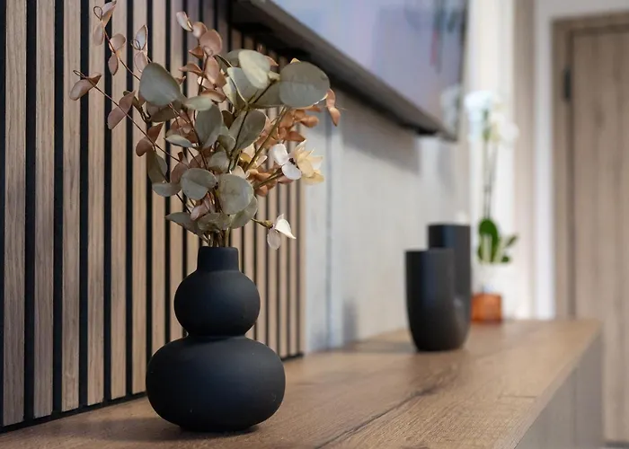 Mountain And View With Underground Parking