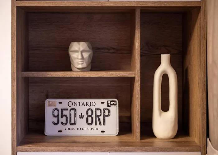 Mountain And View With Underground Parking * Brașov